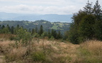 IMG 5839
