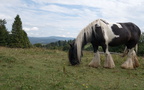 IMG 5844