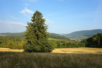 DSC00348