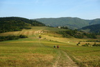 DSC00354