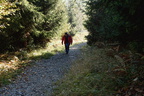 IMG 6529