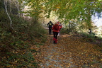 IMG 6531