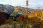 DSCF7098
