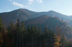 DSCF7102