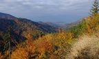 DSCF7105