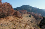 DSCF7110