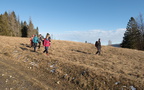 IMG 6954