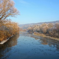 DSC02247