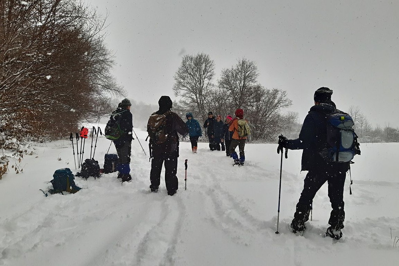 20250112_093709.jpg