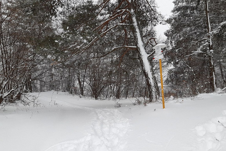 20250112_093849.jpg