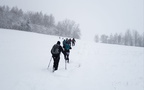 IMG 7061