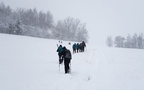 IMG 7062