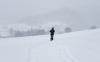IMG 7063