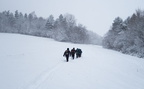 IMG 7065