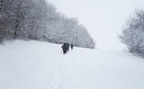 IMG 7066