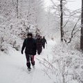IMG 7084