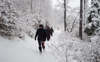 IMG 7084