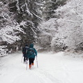 IMG 7085