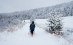 IMG 7086