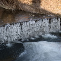 IMG 7292