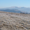 IMG 7297