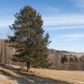 IMG 7301