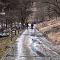 IMG 7305