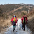 IMG 7312