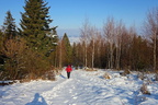 DSC02902