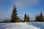 DSC02914