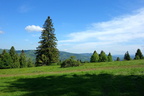 DSC05927