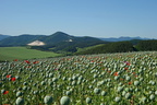 DSC06608