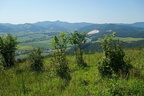 DSC06628