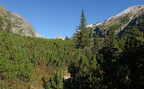 DSCF9429