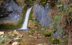 DSCF9621