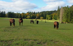 DSCF9637