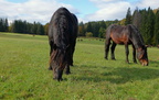 DSCF9643