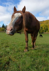 DSCF9653