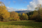 DSC00587