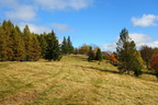 DSC00617