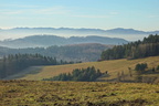 DSC01890
