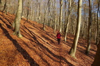 DSC01906