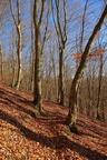 DSC01910