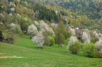 DSC04095