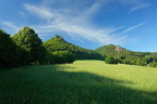 DSC05034