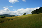 DSC05517