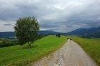 DSC05886