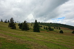 DSC05900